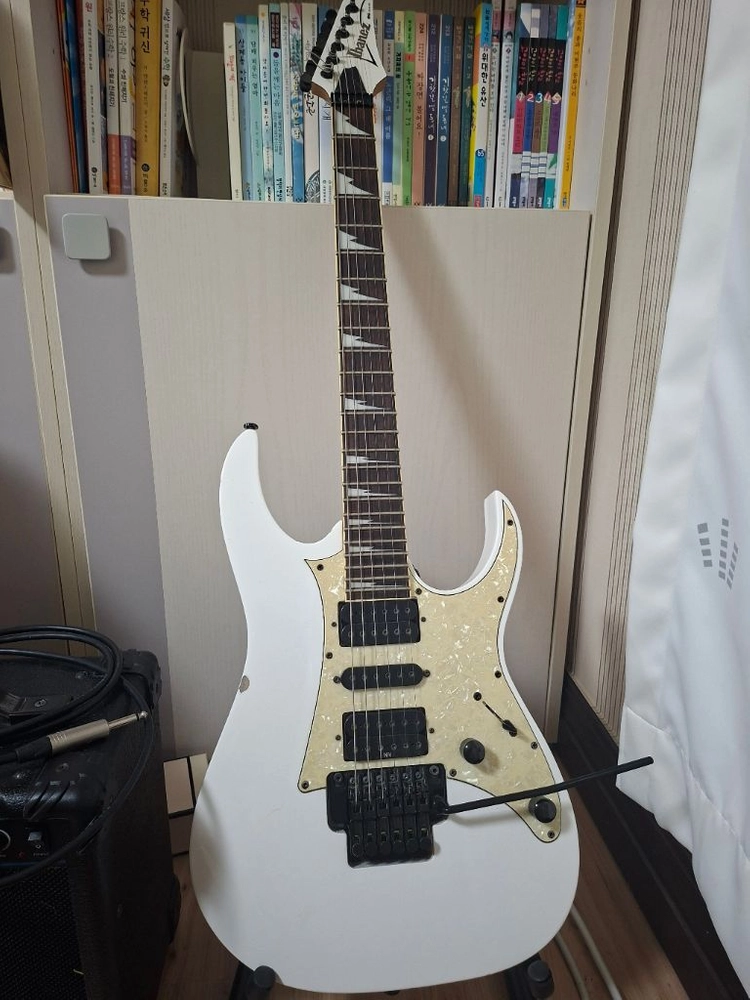 아이바네즈 rg350dxz 이미지