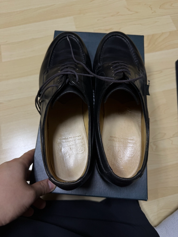파라부트 샴보드 느와르 UK8 이미지