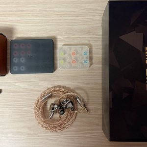fiio fx17 이어폰 판매합니다 이미지