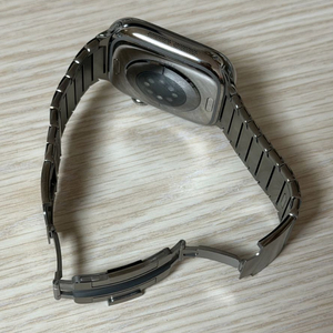 애플워치 정품 링크 브레이슬릿 내추럴 42mm 판매합니다 이미지