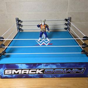 WWE 스맥다운 리얼 스케일 링 (피규어 미포함) 이미지