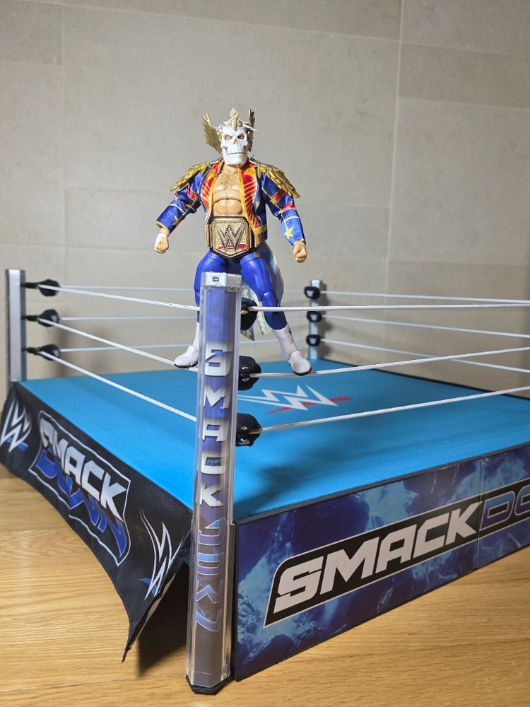 WWE 스맥다운 리얼 스케일 링 (피규어 미포함) 이미지
