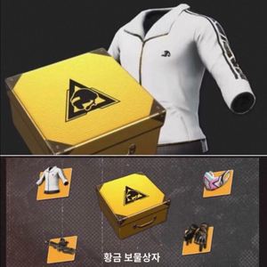 [10월 26일][100개] 배그 황금 보물상자 , 배그 흰색 씨챔 자켓, 배그 흰씨챔 자켓, 화이트 자켓 상자 이미지