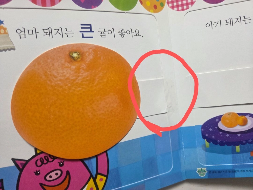 돌잡이수학 세이펜버전 전권 워크북 부모가이드 CD 이미지