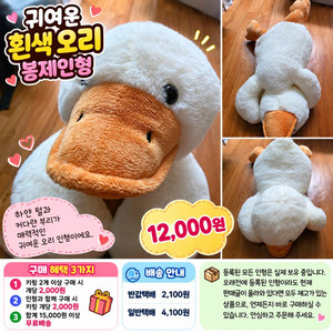 귀여운 흰색 오리 봉제인형 이미지