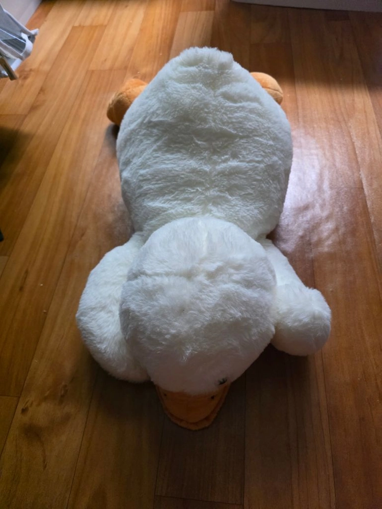 귀여운 흰색 오리 봉제인형 이미지