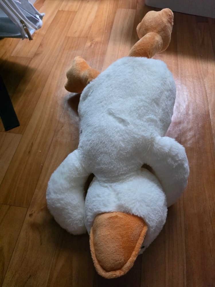 귀여운 흰색 오리 봉제인형 이미지