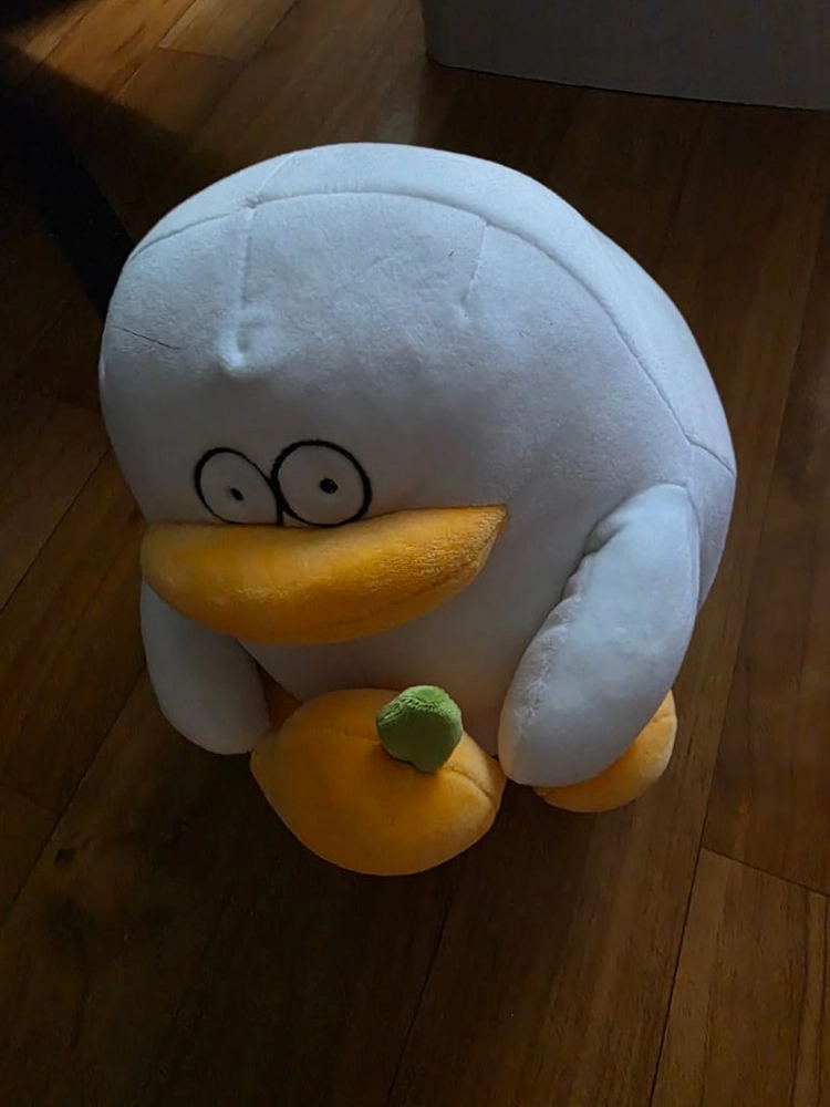 당근을 든 하얀 오리 인형 이미지