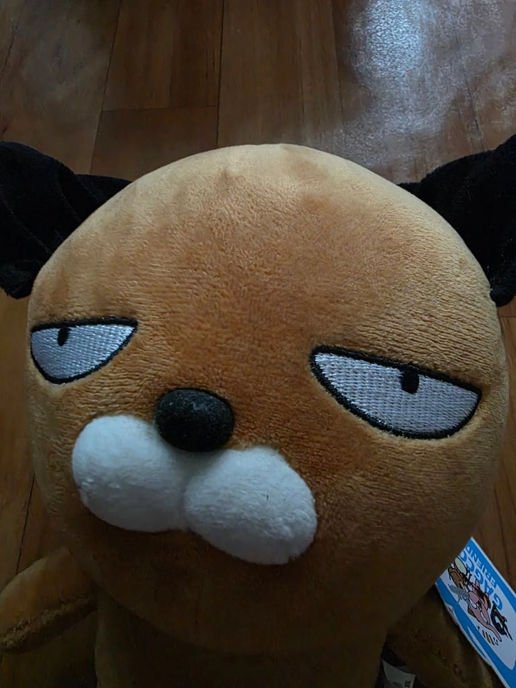 개콘프렌즈 갈색 강아지 봉제인형 이미지