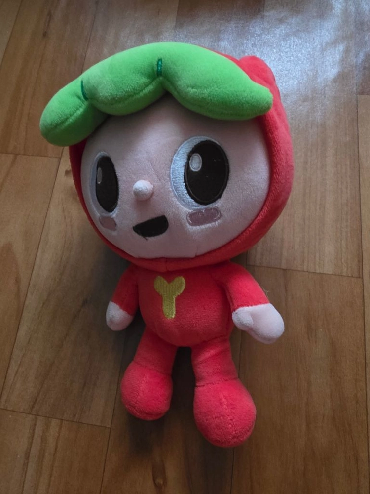 빨간 딸기 모자 캐릭터 봉제인형 이미지