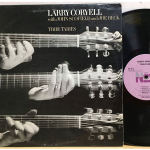 LP ; larry coryell - tributaries 레리 코리엘 퓨전 재즈 엘피 fusion jazz 이미지