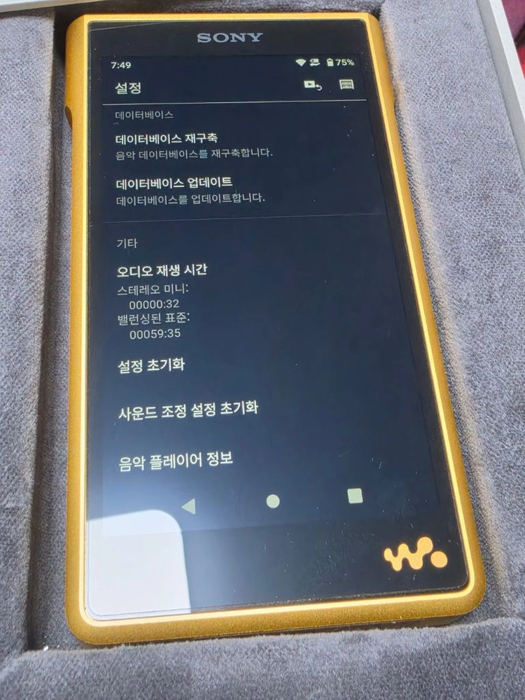 소니 WM1ZM2 금덩이2 이미지