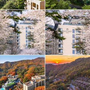 제천 리솜 포레스트 레스트리 이미지