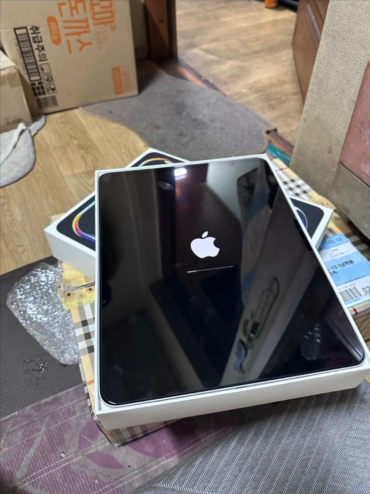 아이패드 프로 13인치 M5 256GB 실버 - 안심되는 중고거래