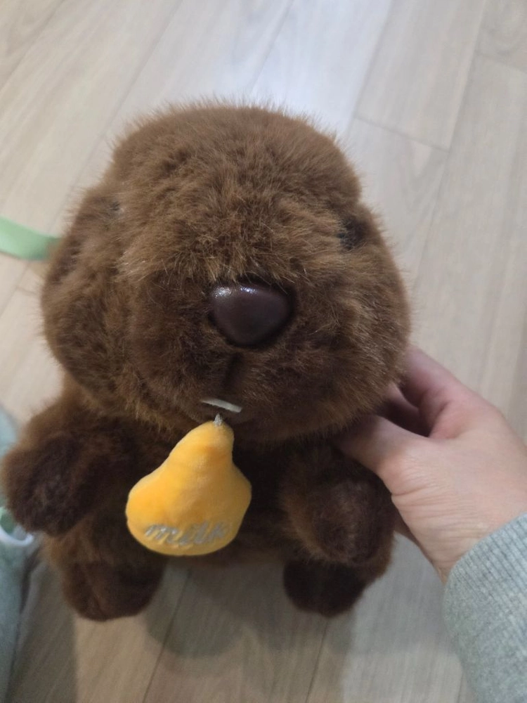 짱구가방 대왕인형 대왕고추인형 청양고추인형 토끼인형 키링 모두다 이미지