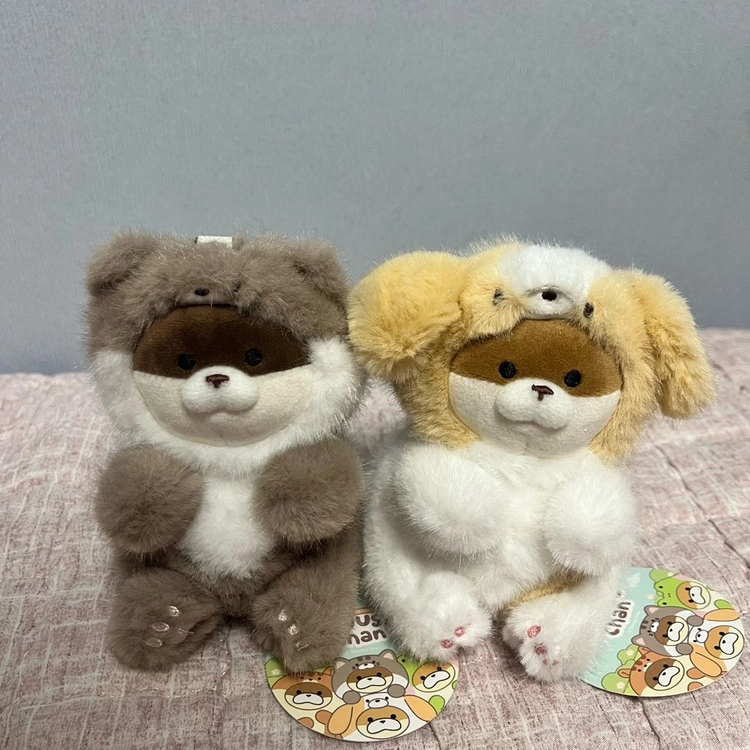 동물코스튬 우소우소짱 강아지, 고양이 12cm 키링 2개일괄 이미지