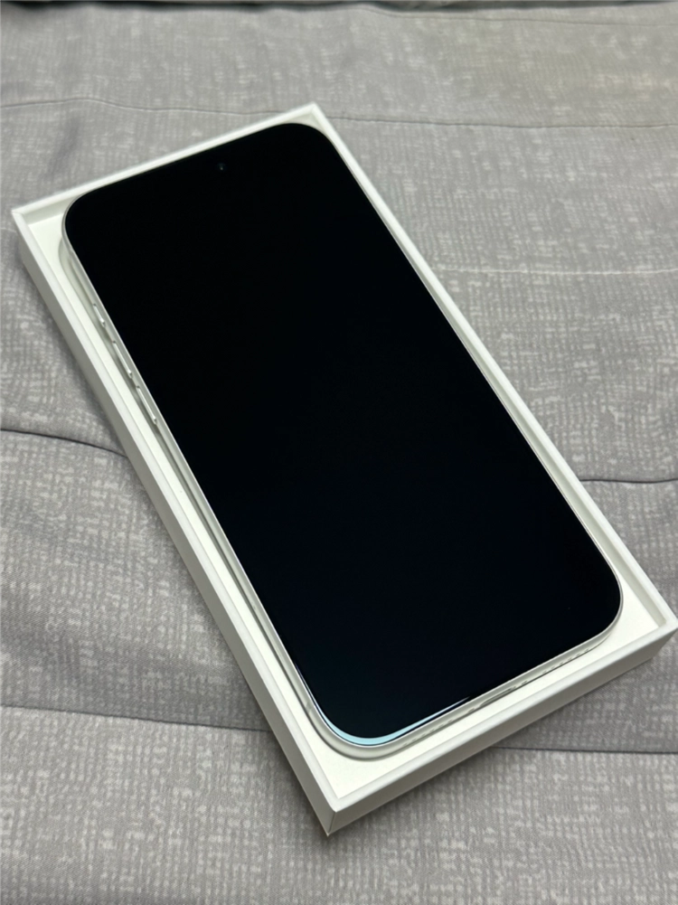 아이폰 17 프로맥스 실버 256GB 이미지