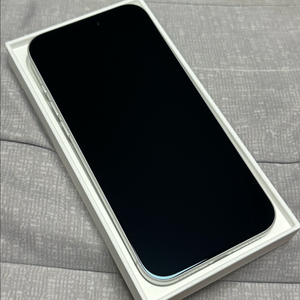 아이폰 17 프로맥스 실버 256GB 이미지