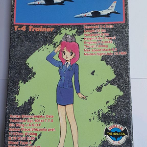 고전 절판 희귀 하세가와 청공소녀대 1/72 T-4 & 1/12 레진킷 시모렌자쿠 요코(미개봉,택포가) 이미지