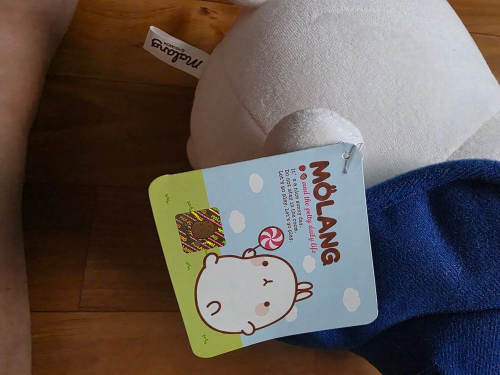 몰랑이 파란 모자 리본 봉제인형 이미지