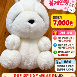하얀 토끼 봉제인형 이미지