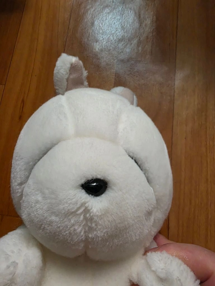하얀 토끼 봉제인형 이미지