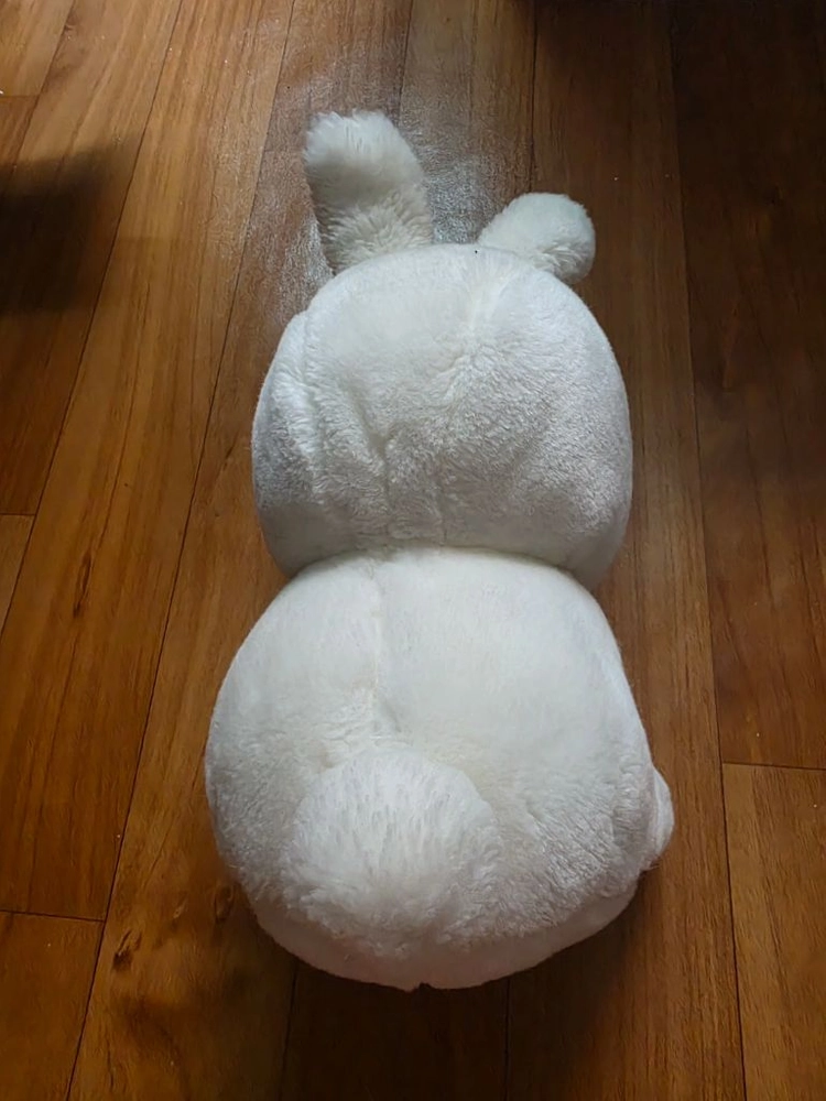 하얀 토끼 봉제인형 이미지