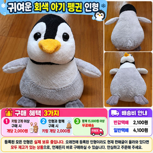 귀여운 회색 아기 펭귄 인형 이미지
