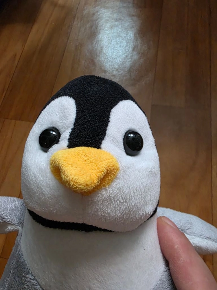 귀여운 회색 아기 펭귄 인형 이미지
