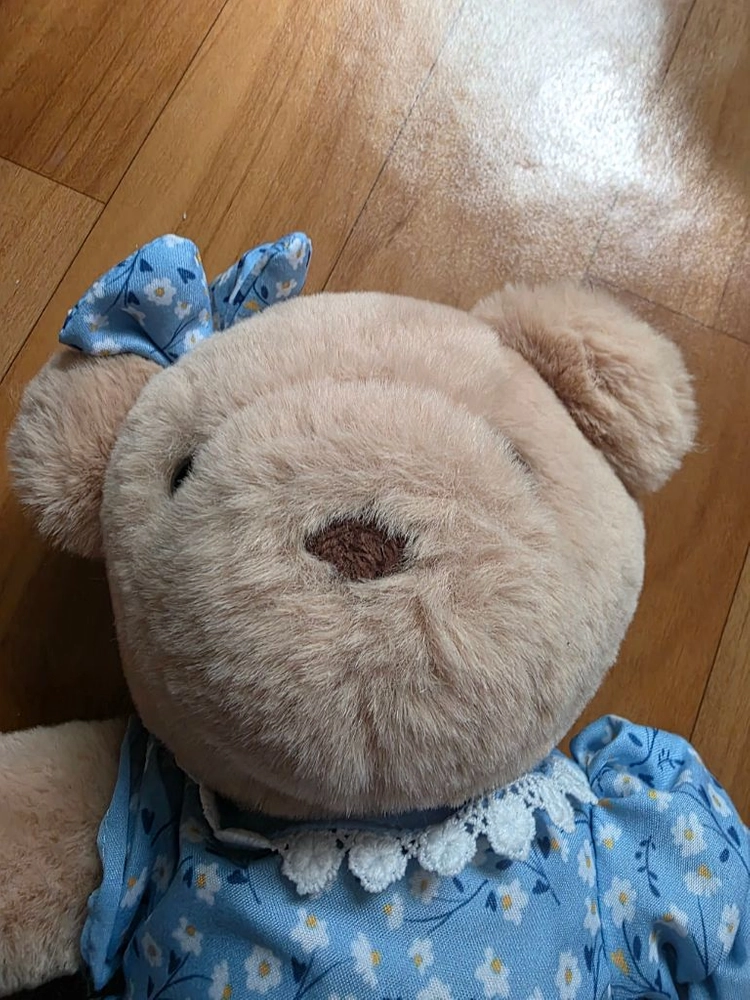 파란 꽃무늬 원피스 리본 곰인형 이미지