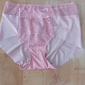 여성 레이스 팬티 이미지
