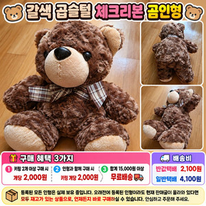 갈색 곱슬털 체크 리본 곰인형 이미지