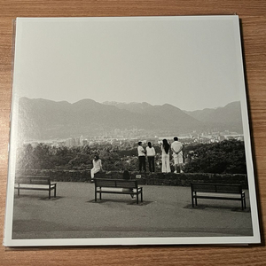 디스트로이어 Destroyer Kaputt LP Vinyl 이미지