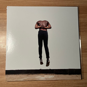 Moses Sumney Aromanticism LP Vinyl 이미지