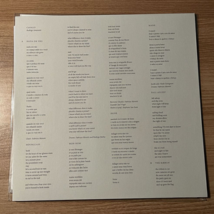 Rodrigo Amarante Cavalo LP Vinyl 이미지
