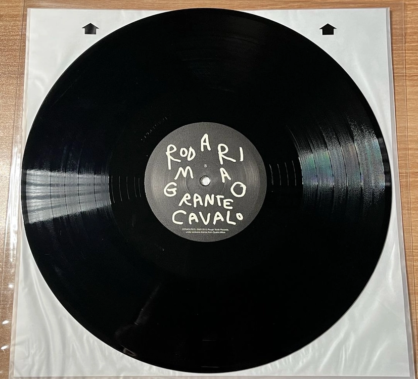 Rodrigo Amarante Cavalo LP Vinyl 이미지