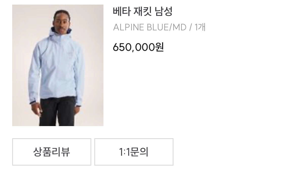 아크테릭스 베타 알파인 블루 M 이미지