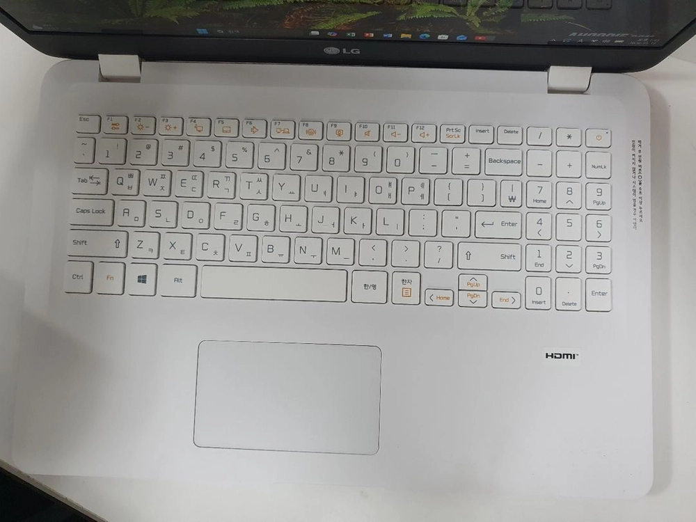 노트북 10세대 코멧레이크 LG 울트라PC 노트북 이미지