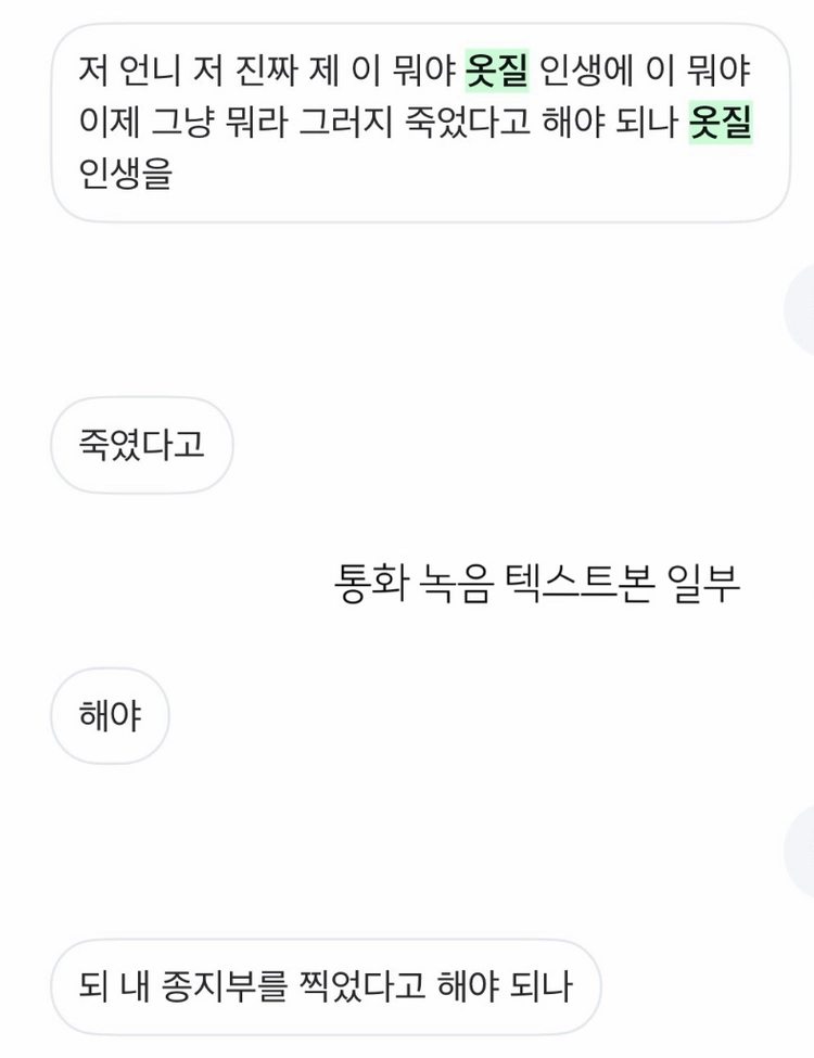 아폴리나 초블 블루비비 밀크스티비 플로럴 비키니 블루벨 미샤 카본 로그캐빈 수어 힐마 윌마 던스 블클후집 마더후집 이미지