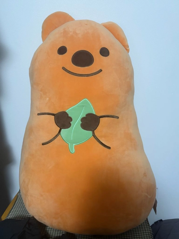 키키쿼카 바디필로우 대형인형 이미지