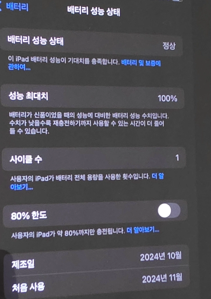 아이패드 미니7 256GB 셀룰러 블루 (배터리 100 사이클 수 1) 이미지