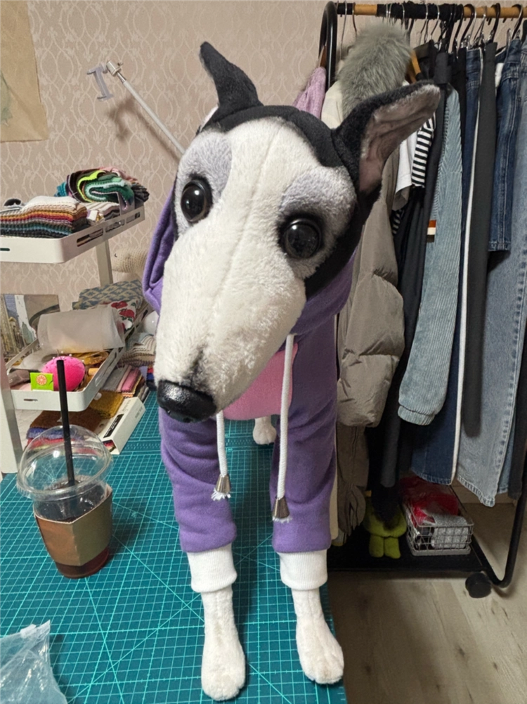 아이쥐 그레이하운드 실물 모형 인형 이미지
