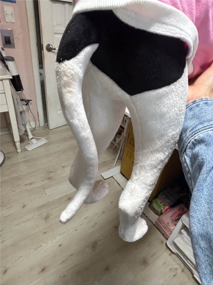 아이쥐 그레이하운드 실물 모형 인형 이미지