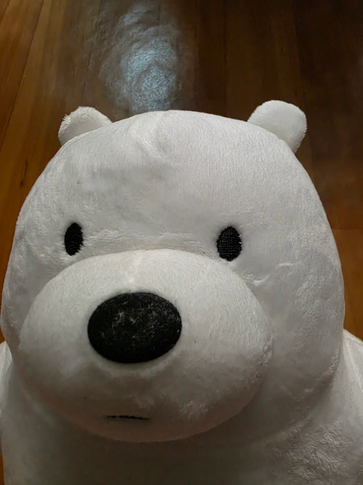 위 베어 베어스 아이스베어 흰색 곰인형 이미지