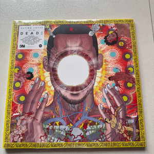 flying lotus, madvillainy 엘피 판매합니다. 이미지
