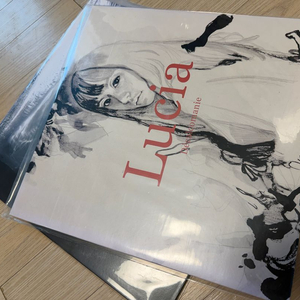 [500장 한정반/친필사인] 심규선(루시아) 데칼코마니 + 자기만의 방 LP 2종 일괄 이미지