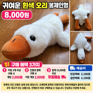 귀여운 흰색 오리 봉제인형 이미지