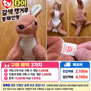 타이 갈색 캥거루 봉제인형 이미지