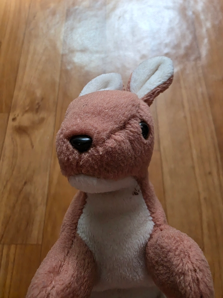 타이 갈색 캥거루 봉제인형 이미지