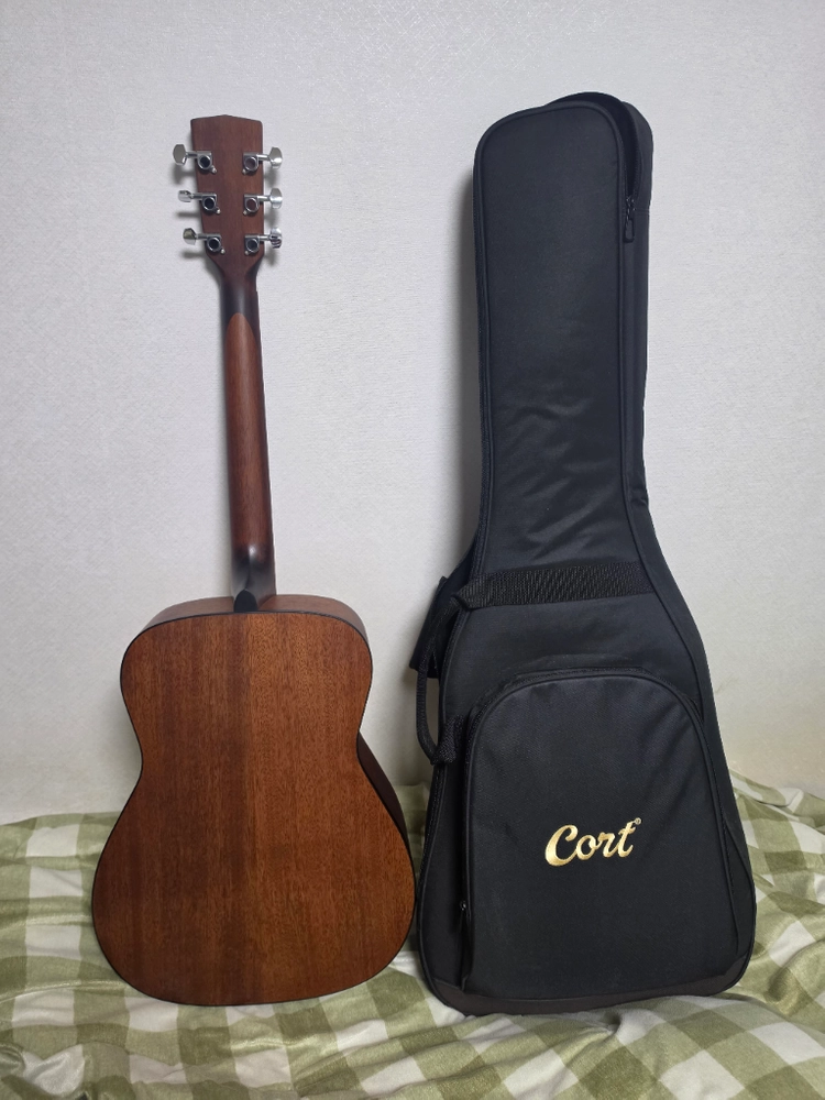 콜트 Cort AF510 입문용 통기타 이미지